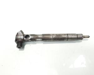 Injector Delphi, cod A6510700587, Mercedes Clasa E (W212), 2.2 CDI, OM651924 (id:585048)