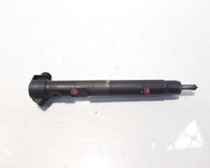 Injector Delphi, cod A6510704987, Mercedes Clasa E (W212), 2.2 CDI, OM651924 (id:588688)