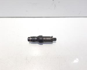 Injector, cod LCR6736001, Citroen Berlingo 1, 1.9 diesel, WJY (id:587631)