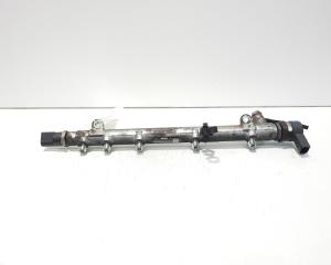 Rampa injectoare cu senzori, cod A6460700295, 0445214073, Mercedes Clasa C (W203) 2.2 CDI, OM646963 (idi:594946)