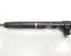 Injector Delphi, cod A6510702887, Mercedes Clasa E (W212) 2.2 CDI, OM651924 (id:600735)