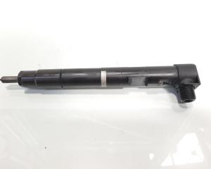 Injector Dephi, cod A6510704987, Mercedes Clasa E (W212) 2.2 CDI, OM651924 (id:597856)