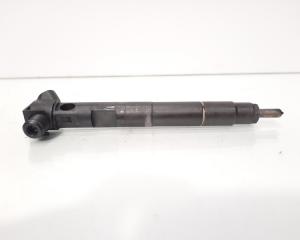 Injector Delphi, cod A6510702887, Mercedes Clasa E (W212) 2.2 CDI, OM651924 (id:600732)