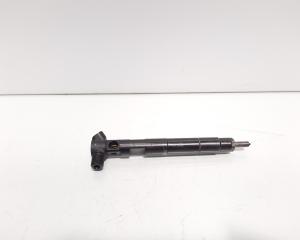 Injector Delphi, cod A6510702887, Mercedes Clasa C (W204), 2.2 CDI, OM651911 (idi:600325)