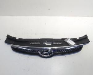 Grila bara fata centrala cu sigla, Hyundai i30 (FD) (id:624285)