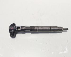 Injector Delphi, cod A6510702887, Mercedes Clasa E (W212), 2.2 CDI, OM651924 (id:634687)