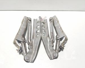 Set balamale capota fata, Skoda Fabia 2 (5J, 542) (idi:631656)