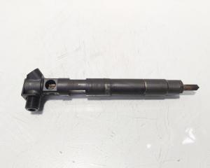 Injector Delphi, cod A6510700587, Mercedes Clasa E (W212) 2.2 CDI, OM651924 (id:638972)