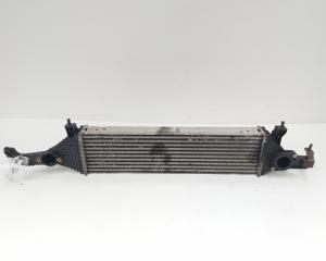 Radiator intercooler, cod Y8396003, Nissan Qashqai, 1.6 DCI (id:640292)