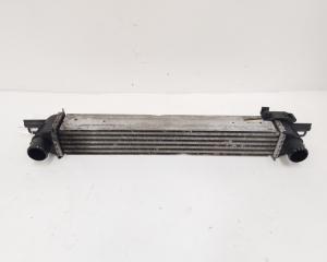 Radiator intercooler, Peugeot Bipper (AA) 1.3 HDI (id:640792)