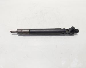 Injector, cod 9686191080, EMBR00101D, Ford Galaxy 2, 2.0 TDCI, UFWA (id:595720)