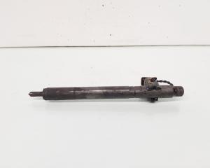 Injector Delphi, cod A6460700987, Mercedes Clasa E (W211) 2.2 CDI, OM646821 (id:649945)