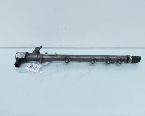 Rampa injectoare cu senzori, cod A6460700395, Mercedes Clasa E (W211), 2.2 CDI, OM646821 (id:652597)