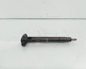 Injector Delphi, cod A6510702887, Mercedes Clasa E (W212), 2.2 CDI, OM651924 (id:653789)