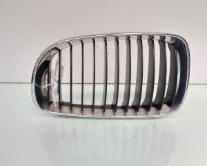Grila bara fata centrala stanga, Bmw 1 (E81, E87) (id:651785)