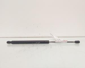Telescop haion, Audi A6 Allroad (4BH, C5) (id:619627)