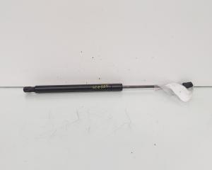 Telescop haion, Audi A6 Allroad (4BH, C5) (id:655739)