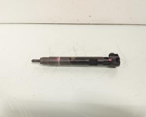 Injector, Delphi cod A6510704987, Mercedes Clasa E (W212), 2.2 CDI, OM651924 (id:640356)