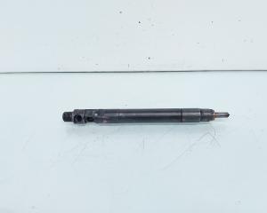 Injector, cod 9686191080, EMBR00101D, Ford Galaxy 2, 2.0 TDCI, UFWA (id:656830)