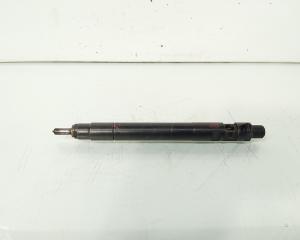 Injector, cod 9686191080, EMBR00101D, Ford Galaxy 2, 2.0 TDCI, UFWA (id:656829)