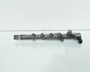 Rampa injectoare cu senzori Delphi, cod A6510700595, Mercedes Clasa E T-Model (S212) 2.2 CDI, OM651924 (idi:661683)