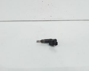 Injector, cod 7506158, Bmw 1 (E81, E87) 1.6 benz, N45B16AB (id:663845)