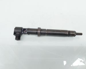 Injector Delphi, cod A6510700587, Mercedes Clasa E (W212), 2.2 CDI, OM651924 (id:662894)