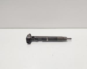 Injector Delphi, cod A65110700587, Mercedes Clasa E (W212) 2.2 CDI, OM651924 (id:672751)