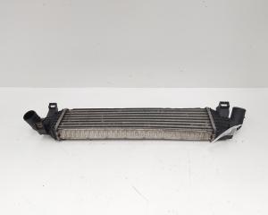 Radiator intercooler, Ford Focus 2 (DA) 1.6 TDCI, G8DA (id:673774)