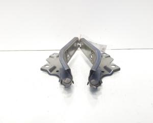 Set balamale capota fata, VW Passat Alltrack (3G5) (idi:611377)