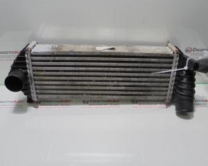 Radiator intercooler 8200427469, Renault Kangoo 1.5dci (id:288770)