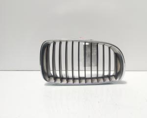 Grila bara fata centrala sus dreapta, cod 7166440, Bmw 1 (E81, E87) (id:677356)