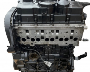 Motor, cod BMN, Vw Golf 5 (1K1) 2.0 TDI (pr:110747)