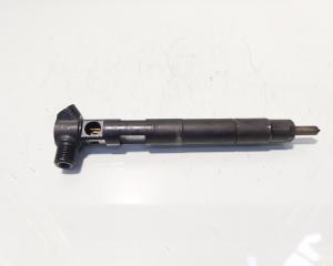 Injector Delphi, cod A6510704987, Mercedes Clasa E (W212), 2.2 CDI, OM651924 (id:677839)