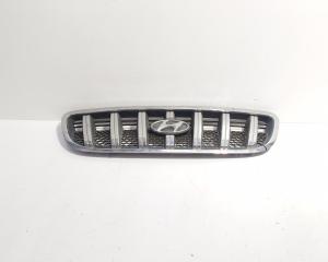 Grila bara fata centrala sus cu sigla, Hyundai Terracan (HP) (id:681890)