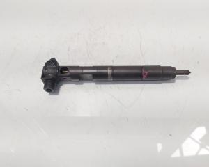 Injector Delphi, cod A6510704987, Mercedes Clasa E (W212) 2.2 CDI, OM651924 (id:474129)