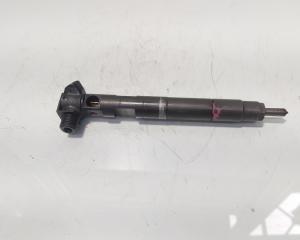 Injector Delphi, cod A6510704987, Mercedes Clasa E (W212) 2.2 CDI, OM651924 (id:479634)