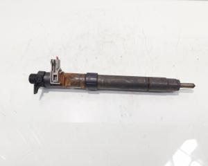 Injector, cod 9686191080, EMBR00101D, Ford Galaxy 2 2.0 TDCI, UFWA (id:686887)