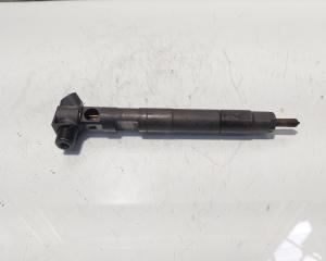 Injector Delphi, cod A6510702887, Mercedes Clasa E (W212) 2.2 CDI, OM651924 (id:685095)