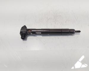 Injector Delphi, cod A6510702887, Mercedes Clasa E (W212) 2.2 CDI, OM651924 (id:687550)