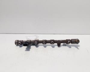 Rampa injectoare cu senzori, cod 8200620689, 0445214113, Renault Megane 3 CC, 1.9 DCI, F9Q754 (idi:685420)