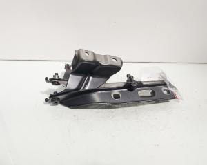 Set balamale capota fata, Audi Q5 (8RB) (id:688550)