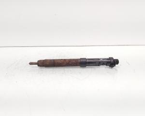 Injector, cod 9686191080, EMBR00101D, Ford Galaxy 2 2.0 TDCI, UFWA (id:692038)