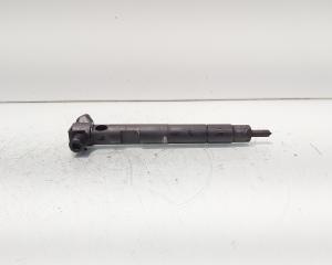 Injector Delphi, cod A6510702887, Mercedes Clasa E (W212) 2.2 CDI, OM651924 (id:689778)
