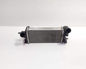 Radiator intercooler, cod CV61-9L440-VC, Ford Focus 3 1.0 ecoboost, M2DA (id:690642)