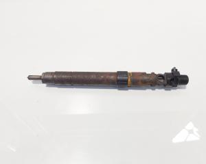 Injector, cod 9686191080, EMBR00101D, Ford Galaxy 2 2.0 TDCI, UFWA (id:693153)