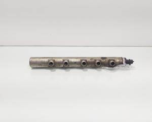 Rampa injectoare, cod GM55197370, 0445214095, Opel Zafira B (A05), 1.9 CDTI, Z19DT (id:693807)