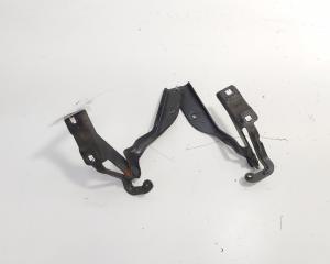 Set balamale capota fata, Nissan Primera (P12) (id:697301)