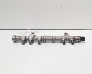 Rampa injectoare cu senzor, cod 55234437, 0445214217, Lancia Ypsilon (312, 846) 1.3 M-Jet, 199B1000 (id:700656)
