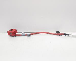 Borna baterie plus cu capsa, cod 9217035-01, Bmw 5 Gran Turismo (GT) (id:701172)